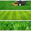 Gallagher Lawn Care ( GLC ) gallery