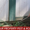 Lee's Termite & Pest Control gallery