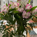 Domenic Graziano Flowers - Flowers, Plants & Trees-Silk, Dried, Etc.-Retail