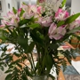 Domenic Graziano Flowers & Gifts