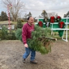 Medina Christmas Tree Farm gallery