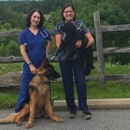Broad River Animal Hospital - Veterinary Clinics & Hospitals