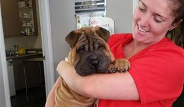 North Randwick Veterinary Clinic - Randwick, ACT. Hannah Kearney