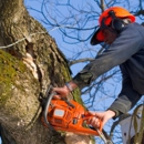 Trey's Tree Service - Tree Service