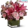 Amman Flowers gallery