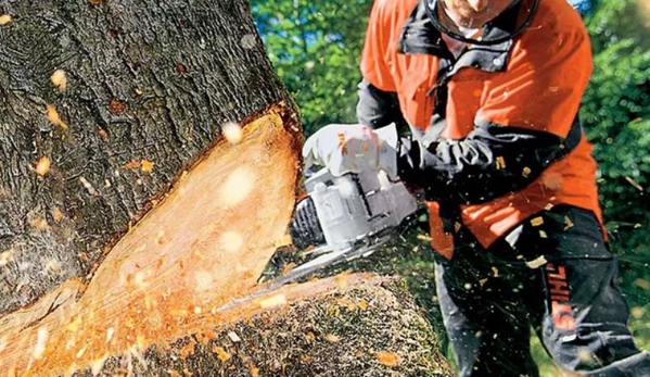 A1 Tree Specialists - Tarleton, TAS