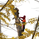 Deals On Wheels Hopping Squirrel Tree Company - Tree Service