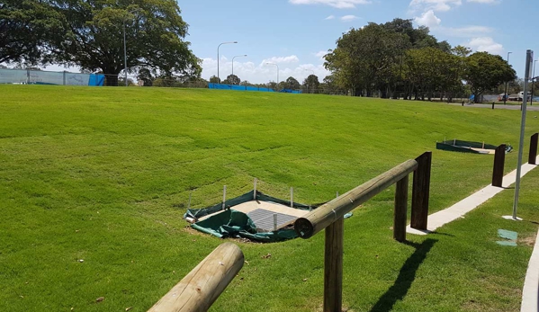 Premium Turf