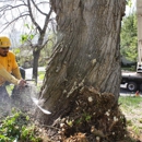 SavATree - Tree Service