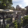 The Vineyard gallery