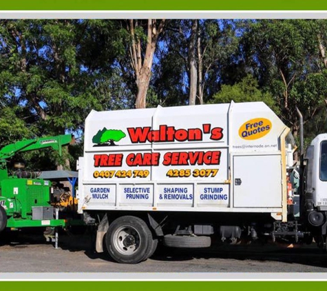 Walton's Tree Care Services - Woonona, NSW. We Have Over 20 Years Of Experience In The Tree Business