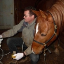 Valley Equine Veterinary Service - Veterinary Clinics & Hospitals