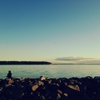 Waterfront Landing gallery