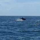 Soleil Adventures Boat Charter