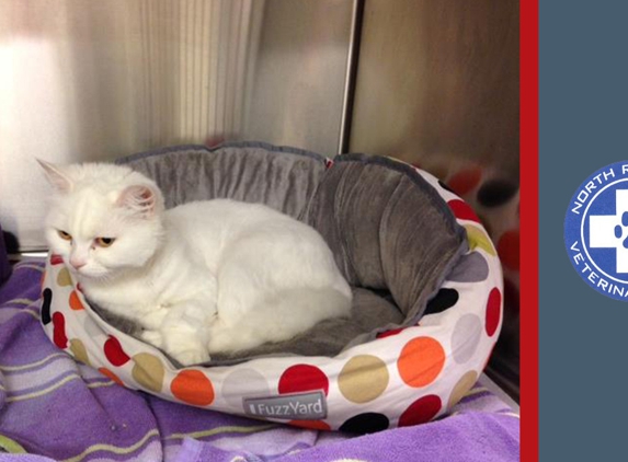 North Randwick Veterinary Clinic - Randwick, ACT