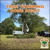 Pro Care Tree Specialist gallery