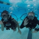 Sport Divers of Houston