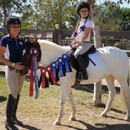 Telesis Equestrian - Horse Training