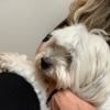 Banfield Pet Hospital gallery