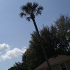 Central Florida Tree Service