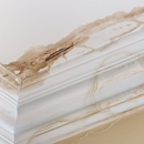 SERVPRO of Central Ft. Myers