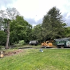 Green Outdoors Tree Service gallery