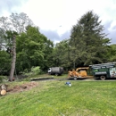 Green Outdoors Tree Service - Tree Service