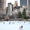 Wollman Rink Operation gallery