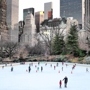 Wollman Rink Operation