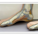 Southern Illinois Foot & Ankle - Physicians & Surgeons, Podiatrists