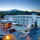 Yosemite Southgate Hotel & Suites - Lodging