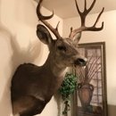 All Seasons Taxidermy - Taxidermists