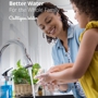 Culligan Water Systems