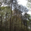 Burke Lake Park gallery