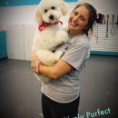 Pawsitively Purfect Salon & Daycare - Pet Grooming