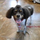 Oregon City Pet Spa