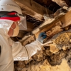 All-Pro Pest Control gallery