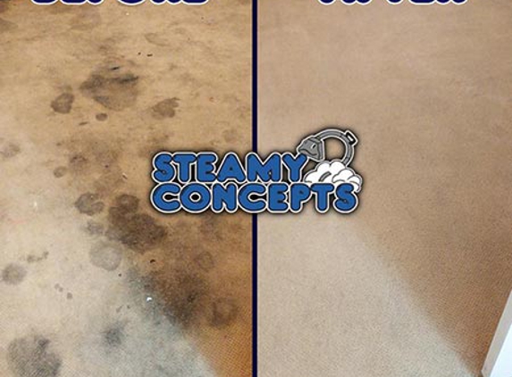 Steamy Concepts Carpet Cleaning - Tucson, AZ