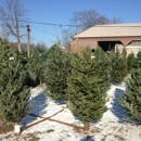 Toddle-In Nursery, LLC - Christmas Trees