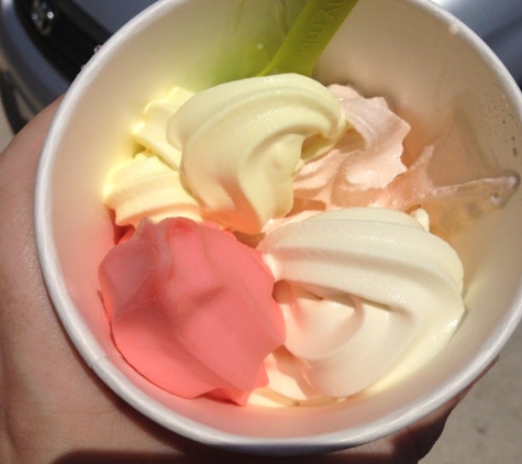 Menchie's Frozen Yogurt - West Des Moines, IA