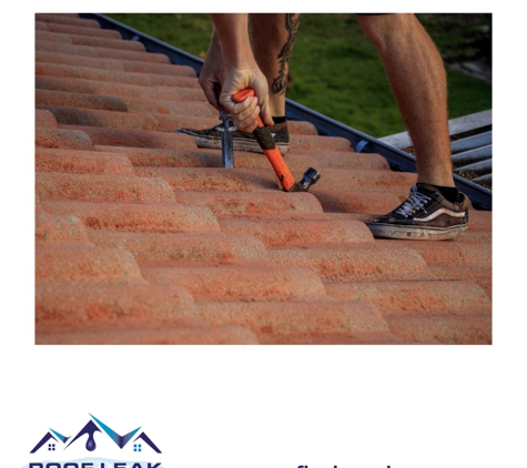 Roof Co Group