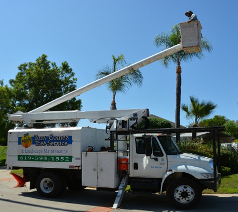 Tony Gomez Tree Svc - El Cajon, CA