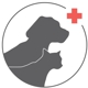 Grand Avenue Animal Hospital
