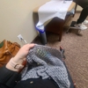 Lin, Joann H, MD gallery