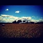Ellms Family Farm