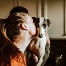 Allied Veterinary Specialists - Veterinary Specialty Services