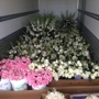 Spedale's Florist and Wholesale