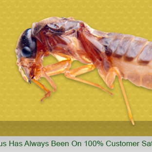 Apex Pest - Asquith, NSW