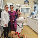 Sunset Animal Hospital - Pet Services