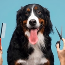 Carmel Groom & DIY Dog Wash - Pet Grooming